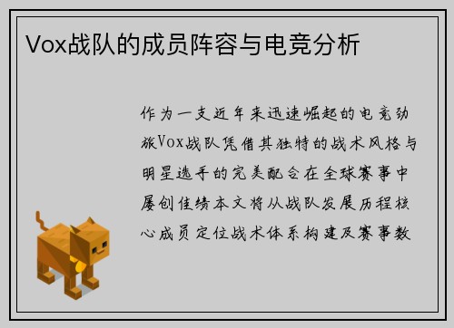 Vox战队的成员阵容与电竞分析